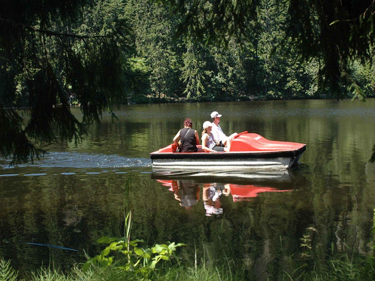 זיבאך Berghotel Mummelsee מראה חיצוני תמונה